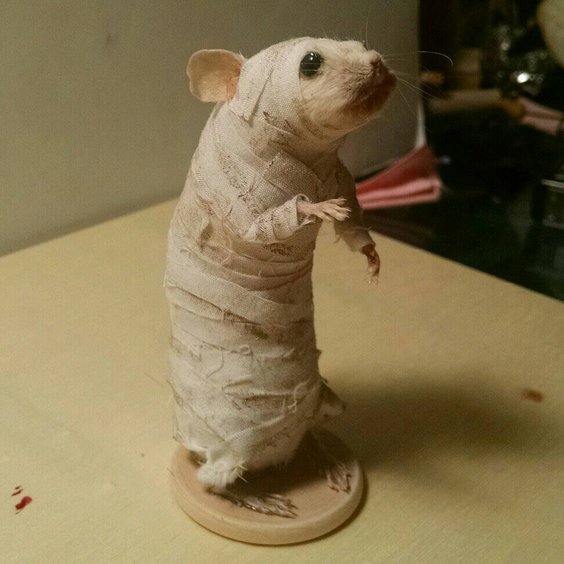 Illustration for article titled Reviews of an Etsy Seller Who Poses Dead Mice As Pop Culture Icons